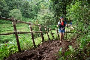 BIB: 
                            <button type="button" onclick="openModal(13429987)" class="btn btn-primary btn-sm float-right btn-popup" data-toggle="modal" data-target=".modal-high-quality">
                        <i class="fas fa-shopping-cart"></i> Add to Cart
                    </button>
                                            <button type="button" onclick="isThisMe(13429987, true)" class="btn btn-success btn-sm float-right btn-popup btn-isme hidden" data-toggle="tooltip" data-placement="bottom" title="นี่คือรูปของคุณใช่ไหม คลิกที่นี่เพื่อเอาเข้าอัลบั้ม">
                        <i class="fas fa-plus"></i> Add to album
                    </button>
                    <button type="button" onclick="isThisMe(13429987, false)" class="btn btn-warning btn-sm float-right btn-popup btn-isnotme hidden">
                        <i class="fas fa-ban"></i> Remove from album
                    </button>