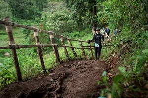 BIB: 
                            <button type="button" onclick="openModal(13450492)" class="btn btn-primary btn-sm float-right btn-popup" data-toggle="modal" data-target=".modal-high-quality">
                        <i class="fas fa-shopping-cart"></i> Add to Cart
                    </button>
                                            <button type="button" onclick="isThisMe(13450492, true)" class="btn btn-success btn-sm float-right btn-popup btn-isme hidden" data-toggle="tooltip" data-placement="bottom" title="นี่คือรูปของคุณใช่ไหม คลิกที่นี่เพื่อเอาเข้าอัลบั้ม">
                        <i class="fas fa-plus"></i> Add to album
                    </button>
                    <button type="button" onclick="isThisMe(13450492, false)" class="btn btn-warning btn-sm float-right btn-popup btn-isnotme hidden">
                        <i class="fas fa-ban"></i> Remove from album
                    </button>