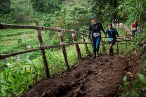 BIB: 
                            <button type="button" onclick="openModal(13444920)" class="btn btn-primary btn-sm float-right btn-popup" data-toggle="modal" data-target=".modal-high-quality">
                        <i class="fas fa-shopping-cart"></i> Add to Cart
                    </button>
                                            <button type="button" onclick="isThisMe(13444920, true)" class="btn btn-success btn-sm float-right btn-popup btn-isme hidden" data-toggle="tooltip" data-placement="bottom" title="นี่คือรูปของคุณใช่ไหม คลิกที่นี่เพื่อเอาเข้าอัลบั้ม">
                        <i class="fas fa-plus"></i> Add to album
                    </button>
                    <button type="button" onclick="isThisMe(13444920, false)" class="btn btn-warning btn-sm float-right btn-popup btn-isnotme hidden">
                        <i class="fas fa-ban"></i> Remove from album
                    </button>