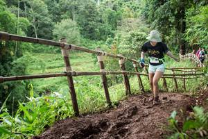 BIB: 
                            <button type="button" onclick="openModal(13430765)" class="btn btn-primary btn-sm float-right btn-popup" data-toggle="modal" data-target=".modal-high-quality">
                        <i class="fas fa-shopping-cart"></i> Add to Cart
                    </button>
                                            <button type="button" onclick="isThisMe(13430765, true)" class="btn btn-success btn-sm float-right btn-popup btn-isme hidden" data-toggle="tooltip" data-placement="bottom" title="นี่คือรูปของคุณใช่ไหม คลิกที่นี่เพื่อเอาเข้าอัลบั้ม">
                        <i class="fas fa-plus"></i> Add to album
                    </button>
                    <button type="button" onclick="isThisMe(13430765, false)" class="btn btn-warning btn-sm float-right btn-popup btn-isnotme hidden">
                        <i class="fas fa-ban"></i> Remove from album
                    </button>