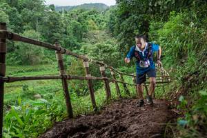 BIB: 
                            <button type="button" onclick="openModal(13426941)" class="btn btn-primary btn-sm float-right btn-popup" data-toggle="modal" data-target=".modal-high-quality">
                        <i class="fas fa-shopping-cart"></i> Add to Cart
                    </button>
                                            <button type="button" onclick="isThisMe(13426941, true)" class="btn btn-success btn-sm float-right btn-popup btn-isme hidden" data-toggle="tooltip" data-placement="bottom" title="นี่คือรูปของคุณใช่ไหม คลิกที่นี่เพื่อเอาเข้าอัลบั้ม">
                        <i class="fas fa-plus"></i> Add to album
                    </button>
                    <button type="button" onclick="isThisMe(13426941, false)" class="btn btn-warning btn-sm float-right btn-popup btn-isnotme hidden">
                        <i class="fas fa-ban"></i> Remove from album
                    </button>