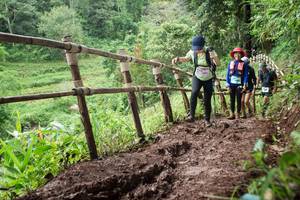 BIB: 
                            <button type="button" onclick="openModal(13434678)" class="btn btn-primary btn-sm float-right btn-popup" data-toggle="modal" data-target=".modal-high-quality">
                        <i class="fas fa-shopping-cart"></i> Add to Cart
                    </button>
                                            <button type="button" onclick="isThisMe(13434678, true)" class="btn btn-success btn-sm float-right btn-popup btn-isme hidden" data-toggle="tooltip" data-placement="bottom" title="นี่คือรูปของคุณใช่ไหม คลิกที่นี่เพื่อเอาเข้าอัลบั้ม">
                        <i class="fas fa-plus"></i> Add to album
                    </button>
                    <button type="button" onclick="isThisMe(13434678, false)" class="btn btn-warning btn-sm float-right btn-popup btn-isnotme hidden">
                        <i class="fas fa-ban"></i> Remove from album
                    </button>