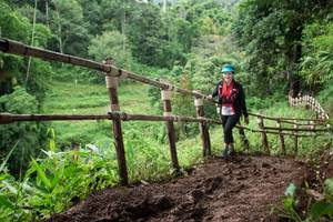 BIB: 
                            <button type="button" onclick="openModal(13430152)" class="btn btn-primary btn-sm float-right btn-popup" data-toggle="modal" data-target=".modal-high-quality">
                        <i class="fas fa-shopping-cart"></i> Add to Cart
                    </button>
                                            <button type="button" onclick="isThisMe(13430152, true)" class="btn btn-success btn-sm float-right btn-popup btn-isme hidden" data-toggle="tooltip" data-placement="bottom" title="นี่คือรูปของคุณใช่ไหม คลิกที่นี่เพื่อเอาเข้าอัลบั้ม">
                        <i class="fas fa-plus"></i> Add to album
                    </button>
                    <button type="button" onclick="isThisMe(13430152, false)" class="btn btn-warning btn-sm float-right btn-popup btn-isnotme hidden">
                        <i class="fas fa-ban"></i> Remove from album
                    </button>