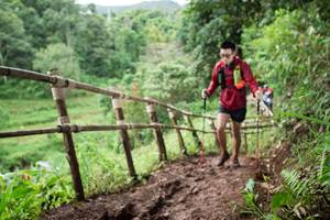 BIB: 
                            <button type="button" onclick="openModal(13430656)" class="btn btn-primary btn-sm float-right btn-popup" data-toggle="modal" data-target=".modal-high-quality">
                        <i class="fas fa-shopping-cart"></i> Add to Cart
                    </button>
                                            <button type="button" onclick="isThisMe(13430656, true)" class="btn btn-success btn-sm float-right btn-popup btn-isme hidden" data-toggle="tooltip" data-placement="bottom" title="นี่คือรูปของคุณใช่ไหม คลิกที่นี่เพื่อเอาเข้าอัลบั้ม">
                        <i class="fas fa-plus"></i> Add to album
                    </button>
                    <button type="button" onclick="isThisMe(13430656, false)" class="btn btn-warning btn-sm float-right btn-popup btn-isnotme hidden">
                        <i class="fas fa-ban"></i> Remove from album
                    </button>