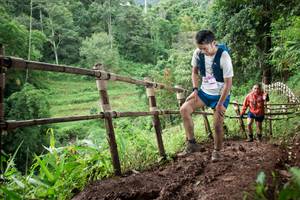 BIB: 
                            <button type="button" onclick="openModal(13429366)" class="btn btn-primary btn-sm float-right btn-popup" data-toggle="modal" data-target=".modal-high-quality">
                        <i class="fas fa-shopping-cart"></i> Add to Cart
                    </button>
                                            <button type="button" onclick="isThisMe(13429366, true)" class="btn btn-success btn-sm float-right btn-popup btn-isme hidden" data-toggle="tooltip" data-placement="bottom" title="นี่คือรูปของคุณใช่ไหม คลิกที่นี่เพื่อเอาเข้าอัลบั้ม">
                        <i class="fas fa-plus"></i> Add to album
                    </button>
                    <button type="button" onclick="isThisMe(13429366, false)" class="btn btn-warning btn-sm float-right btn-popup btn-isnotme hidden">
                        <i class="fas fa-ban"></i> Remove from album
                    </button>