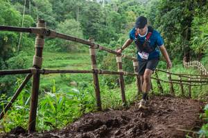 BIB: 
                            <button type="button" onclick="openModal(13427975)" class="btn btn-primary btn-sm float-right btn-popup" data-toggle="modal" data-target=".modal-high-quality">
                        <i class="fas fa-shopping-cart"></i> Add to Cart
                    </button>
                                            <button type="button" onclick="isThisMe(13427975, true)" class="btn btn-success btn-sm float-right btn-popup btn-isme hidden" data-toggle="tooltip" data-placement="bottom" title="นี่คือรูปของคุณใช่ไหม คลิกที่นี่เพื่อเอาเข้าอัลบั้ม">
                        <i class="fas fa-plus"></i> Add to album
                    </button>
                    <button type="button" onclick="isThisMe(13427975, false)" class="btn btn-warning btn-sm float-right btn-popup btn-isnotme hidden">
                        <i class="fas fa-ban"></i> Remove from album
                    </button>