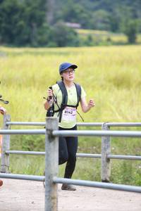 BIB: 8142
                            <button type="button" onclick="openModal(13456233)" class="btn btn-primary btn-sm float-right btn-popup" data-toggle="modal" data-target=".modal-high-quality">
                        <i class="fas fa-shopping-cart"></i> Add to Cart
                    </button>
                                            <button type="button" onclick="isThisMe(13456233, true)" class="btn btn-success btn-sm float-right btn-popup btn-isme hidden" data-toggle="tooltip" data-placement="bottom" title="นี่คือรูปของคุณใช่ไหม คลิกที่นี่เพื่อเอาเข้าอัลบั้ม">
                        <i class="fas fa-plus"></i> Add to album
                    </button>
                    <button type="button" onclick="isThisMe(13456233, false)" class="btn btn-warning btn-sm float-right btn-popup btn-isnotme hidden">
                        <i class="fas fa-ban"></i> Remove from album
                    </button>