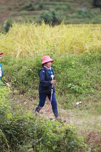 BIB: 
                            <button type="button" onclick="openModal(13457014)" class="btn btn-primary btn-sm float-right btn-popup" data-toggle="modal" data-target=".modal-high-quality">
                        <i class="fas fa-shopping-cart"></i> Add to Cart
                    </button>
                                            <button type="button" onclick="isThisMe(13457014, true)" class="btn btn-success btn-sm float-right btn-popup btn-isme hidden" data-toggle="tooltip" data-placement="bottom" title="นี่คือรูปของคุณใช่ไหม คลิกที่นี่เพื่อเอาเข้าอัลบั้ม">
                        <i class="fas fa-plus"></i> Add to album
                    </button>
                    <button type="button" onclick="isThisMe(13457014, false)" class="btn btn-warning btn-sm float-right btn-popup btn-isnotme hidden">
                        <i class="fas fa-ban"></i> Remove from album
                    </button>