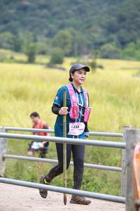 BIB: 8233
                            <button type="button" onclick="openModal(13456899)" class="btn btn-primary btn-sm float-right btn-popup" data-toggle="modal" data-target=".modal-high-quality">
                        <i class="fas fa-shopping-cart"></i> Add to Cart
                    </button>
                                            <button type="button" onclick="isThisMe(13456899, true)" class="btn btn-success btn-sm float-right btn-popup btn-isme hidden" data-toggle="tooltip" data-placement="bottom" title="นี่คือรูปของคุณใช่ไหม คลิกที่นี่เพื่อเอาเข้าอัลบั้ม">
                        <i class="fas fa-plus"></i> Add to album
                    </button>
                    <button type="button" onclick="isThisMe(13456899, false)" class="btn btn-warning btn-sm float-right btn-popup btn-isnotme hidden">
                        <i class="fas fa-ban"></i> Remove from album
                    </button>