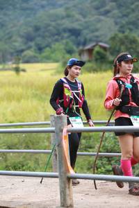 BIB: 1198, 1305
                            <button type="button" onclick="openModal(13456951)" class="btn btn-primary btn-sm float-right btn-popup" data-toggle="modal" data-target=".modal-high-quality">
                        <i class="fas fa-shopping-cart"></i> Add to Cart
                    </button>
                                            <button type="button" onclick="isThisMe(13456951, true)" class="btn btn-success btn-sm float-right btn-popup btn-isme hidden" data-toggle="tooltip" data-placement="bottom" title="นี่คือรูปของคุณใช่ไหม คลิกที่นี่เพื่อเอาเข้าอัลบั้ม">
                        <i class="fas fa-plus"></i> Add to album
                    </button>
                    <button type="button" onclick="isThisMe(13456951, false)" class="btn btn-warning btn-sm float-right btn-popup btn-isnotme hidden">
                        <i class="fas fa-ban"></i> Remove from album
                    </button>