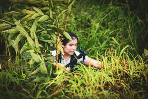 BIB: 
                            <button type="button" onclick="openModal(13406171)" class="btn btn-primary btn-sm float-right btn-popup" data-toggle="modal" data-target=".modal-high-quality">
                        <i class="fas fa-shopping-cart"></i> Add to Cart
                    </button>
                                            <button type="button" onclick="isThisMe(13406171, true)" class="btn btn-success btn-sm float-right btn-popup btn-isme hidden" data-toggle="tooltip" data-placement="bottom" title="นี่คือรูปของคุณใช่ไหม คลิกที่นี่เพื่อเอาเข้าอัลบั้ม">
                        <i class="fas fa-plus"></i> Add to album
                    </button>
                    <button type="button" onclick="isThisMe(13406171, false)" class="btn btn-warning btn-sm float-right btn-popup btn-isnotme hidden">
                        <i class="fas fa-ban"></i> Remove from album
                    </button>