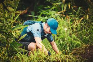 BIB: 
                            <button type="button" onclick="openModal(13406153)" class="btn btn-primary btn-sm float-right btn-popup" data-toggle="modal" data-target=".modal-high-quality">
                        <i class="fas fa-shopping-cart"></i> Add to Cart
                    </button>
                                            <button type="button" onclick="isThisMe(13406153, true)" class="btn btn-success btn-sm float-right btn-popup btn-isme hidden" data-toggle="tooltip" data-placement="bottom" title="นี่คือรูปของคุณใช่ไหม คลิกที่นี่เพื่อเอาเข้าอัลบั้ม">
                        <i class="fas fa-plus"></i> Add to album
                    </button>
                    <button type="button" onclick="isThisMe(13406153, false)" class="btn btn-warning btn-sm float-right btn-popup btn-isnotme hidden">
                        <i class="fas fa-ban"></i> Remove from album
                    </button>