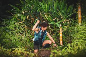 BIB: 
                            <button type="button" onclick="openModal(13406867)" class="btn btn-primary btn-sm float-right btn-popup" data-toggle="modal" data-target=".modal-high-quality">
                        <i class="fas fa-shopping-cart"></i> Add to Cart
                    </button>
                                            <button type="button" onclick="isThisMe(13406867, true)" class="btn btn-success btn-sm float-right btn-popup btn-isme hidden" data-toggle="tooltip" data-placement="bottom" title="นี่คือรูปของคุณใช่ไหม คลิกที่นี่เพื่อเอาเข้าอัลบั้ม">
                        <i class="fas fa-plus"></i> Add to album
                    </button>
                    <button type="button" onclick="isThisMe(13406867, false)" class="btn btn-warning btn-sm float-right btn-popup btn-isnotme hidden">
                        <i class="fas fa-ban"></i> Remove from album
                    </button>