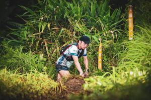 BIB: 
                            <button type="button" onclick="openModal(13406705)" class="btn btn-primary btn-sm float-right btn-popup" data-toggle="modal" data-target=".modal-high-quality">
                        <i class="fas fa-shopping-cart"></i> Add to Cart
                    </button>
                                            <button type="button" onclick="isThisMe(13406705, true)" class="btn btn-success btn-sm float-right btn-popup btn-isme hidden" data-toggle="tooltip" data-placement="bottom" title="นี่คือรูปของคุณใช่ไหม คลิกที่นี่เพื่อเอาเข้าอัลบั้ม">
                        <i class="fas fa-plus"></i> Add to album
                    </button>
                    <button type="button" onclick="isThisMe(13406705, false)" class="btn btn-warning btn-sm float-right btn-popup btn-isnotme hidden">
                        <i class="fas fa-ban"></i> Remove from album
                    </button>