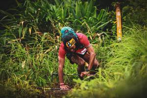 BIB: 
                            <button type="button" onclick="openModal(13406318)" class="btn btn-primary btn-sm float-right btn-popup" data-toggle="modal" data-target=".modal-high-quality">
                        <i class="fas fa-shopping-cart"></i> Add to Cart
                    </button>
                                            <button type="button" onclick="isThisMe(13406318, true)" class="btn btn-success btn-sm float-right btn-popup btn-isme hidden" data-toggle="tooltip" data-placement="bottom" title="นี่คือรูปของคุณใช่ไหม คลิกที่นี่เพื่อเอาเข้าอัลบั้ม">
                        <i class="fas fa-plus"></i> Add to album
                    </button>
                    <button type="button" onclick="isThisMe(13406318, false)" class="btn btn-warning btn-sm float-right btn-popup btn-isnotme hidden">
                        <i class="fas fa-ban"></i> Remove from album
                    </button>