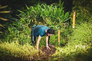 BIB: 
                            <button type="button" onclick="openModal(13406387)" class="btn btn-primary btn-sm float-right btn-popup" data-toggle="modal" data-target=".modal-high-quality">
                        <i class="fas fa-shopping-cart"></i> Add to Cart
                    </button>
                                            <button type="button" onclick="isThisMe(13406387, true)" class="btn btn-success btn-sm float-right btn-popup btn-isme hidden" data-toggle="tooltip" data-placement="bottom" title="นี่คือรูปของคุณใช่ไหม คลิกที่นี่เพื่อเอาเข้าอัลบั้ม">
                        <i class="fas fa-plus"></i> Add to album
                    </button>
                    <button type="button" onclick="isThisMe(13406387, false)" class="btn btn-warning btn-sm float-right btn-popup btn-isnotme hidden">
                        <i class="fas fa-ban"></i> Remove from album
                    </button>