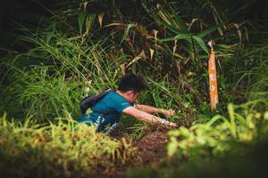 BIB: 
                            <button type="button" onclick="openModal(13406753)" class="btn btn-primary btn-sm float-right btn-popup" data-toggle="modal" data-target=".modal-high-quality">
                        <i class="fas fa-shopping-cart"></i> Add to Cart
                    </button>
                                            <button type="button" onclick="isThisMe(13406753, true)" class="btn btn-success btn-sm float-right btn-popup btn-isme hidden" data-toggle="tooltip" data-placement="bottom" title="นี่คือรูปของคุณใช่ไหม คลิกที่นี่เพื่อเอาเข้าอัลบั้ม">
                        <i class="fas fa-plus"></i> Add to album
                    </button>
                    <button type="button" onclick="isThisMe(13406753, false)" class="btn btn-warning btn-sm float-right btn-popup btn-isnotme hidden">
                        <i class="fas fa-ban"></i> Remove from album
                    </button>