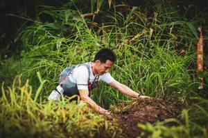 BIB: 
                            <button type="button" onclick="openModal(13406337)" class="btn btn-primary btn-sm float-right btn-popup" data-toggle="modal" data-target=".modal-high-quality">
                        <i class="fas fa-shopping-cart"></i> Add to Cart
                    </button>
                                            <button type="button" onclick="isThisMe(13406337, true)" class="btn btn-success btn-sm float-right btn-popup btn-isme hidden" data-toggle="tooltip" data-placement="bottom" title="นี่คือรูปของคุณใช่ไหม คลิกที่นี่เพื่อเอาเข้าอัลบั้ม">
                        <i class="fas fa-plus"></i> Add to album
                    </button>
                    <button type="button" onclick="isThisMe(13406337, false)" class="btn btn-warning btn-sm float-right btn-popup btn-isnotme hidden">
                        <i class="fas fa-ban"></i> Remove from album
                    </button>