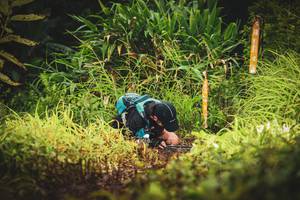 BIB: 
                            <button type="button" onclick="openModal(13406392)" class="btn btn-primary btn-sm float-right btn-popup" data-toggle="modal" data-target=".modal-high-quality">
                        <i class="fas fa-shopping-cart"></i> Add to Cart
                    </button>
                                            <button type="button" onclick="isThisMe(13406392, true)" class="btn btn-success btn-sm float-right btn-popup btn-isme hidden" data-toggle="tooltip" data-placement="bottom" title="นี่คือรูปของคุณใช่ไหม คลิกที่นี่เพื่อเอาเข้าอัลบั้ม">
                        <i class="fas fa-plus"></i> Add to album
                    </button>
                    <button type="button" onclick="isThisMe(13406392, false)" class="btn btn-warning btn-sm float-right btn-popup btn-isnotme hidden">
                        <i class="fas fa-ban"></i> Remove from album
                    </button>