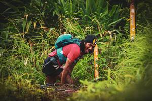 BIB: 
                            <button type="button" onclick="openModal(13406302)" class="btn btn-primary btn-sm float-right btn-popup" data-toggle="modal" data-target=".modal-high-quality">
                        <i class="fas fa-shopping-cart"></i> Add to Cart
                    </button>
                                            <button type="button" onclick="isThisMe(13406302, true)" class="btn btn-success btn-sm float-right btn-popup btn-isme hidden" data-toggle="tooltip" data-placement="bottom" title="นี่คือรูปของคุณใช่ไหม คลิกที่นี่เพื่อเอาเข้าอัลบั้ม">
                        <i class="fas fa-plus"></i> Add to album
                    </button>
                    <button type="button" onclick="isThisMe(13406302, false)" class="btn btn-warning btn-sm float-right btn-popup btn-isnotme hidden">
                        <i class="fas fa-ban"></i> Remove from album
                    </button>