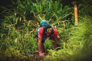 BIB: 
                            <button type="button" onclick="openModal(13406313)" class="btn btn-primary btn-sm float-right btn-popup" data-toggle="modal" data-target=".modal-high-quality">
                        <i class="fas fa-shopping-cart"></i> Add to Cart
                    </button>
                                            <button type="button" onclick="isThisMe(13406313, true)" class="btn btn-success btn-sm float-right btn-popup btn-isme hidden" data-toggle="tooltip" data-placement="bottom" title="นี่คือรูปของคุณใช่ไหม คลิกที่นี่เพื่อเอาเข้าอัลบั้ม">
                        <i class="fas fa-plus"></i> Add to album
                    </button>
                    <button type="button" onclick="isThisMe(13406313, false)" class="btn btn-warning btn-sm float-right btn-popup btn-isnotme hidden">
                        <i class="fas fa-ban"></i> Remove from album
                    </button>