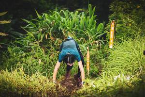 BIB: 
                            <button type="button" onclick="openModal(13406388)" class="btn btn-primary btn-sm float-right btn-popup" data-toggle="modal" data-target=".modal-high-quality">
                        <i class="fas fa-shopping-cart"></i> Add to Cart
                    </button>
                                            <button type="button" onclick="isThisMe(13406388, true)" class="btn btn-success btn-sm float-right btn-popup btn-isme hidden" data-toggle="tooltip" data-placement="bottom" title="นี่คือรูปของคุณใช่ไหม คลิกที่นี่เพื่อเอาเข้าอัลบั้ม">
                        <i class="fas fa-plus"></i> Add to album
                    </button>
                    <button type="button" onclick="isThisMe(13406388, false)" class="btn btn-warning btn-sm float-right btn-popup btn-isnotme hidden">
                        <i class="fas fa-ban"></i> Remove from album
                    </button>