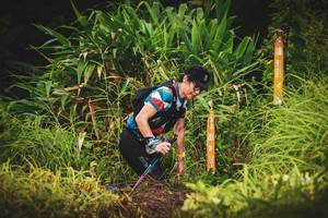 BIB: 
                            <button type="button" onclick="openModal(13406554)" class="btn btn-primary btn-sm float-right btn-popup" data-toggle="modal" data-target=".modal-high-quality">
                        <i class="fas fa-shopping-cart"></i> Add to Cart
                    </button>
                                            <button type="button" onclick="isThisMe(13406554, true)" class="btn btn-success btn-sm float-right btn-popup btn-isme hidden" data-toggle="tooltip" data-placement="bottom" title="นี่คือรูปของคุณใช่ไหม คลิกที่นี่เพื่อเอาเข้าอัลบั้ม">
                        <i class="fas fa-plus"></i> Add to album
                    </button>
                    <button type="button" onclick="isThisMe(13406554, false)" class="btn btn-warning btn-sm float-right btn-popup btn-isnotme hidden">
                        <i class="fas fa-ban"></i> Remove from album
                    </button>