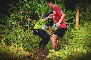 BIB: 8312
                            <button type="button" onclick="openModal(13406477)" class="btn btn-primary btn-sm float-right btn-popup" data-toggle="modal" data-target=".modal-high-quality">
                        <i class="fas fa-shopping-cart"></i> Add to Cart
                    </button>
                                            <button type="button" onclick="isThisMe(13406477, true)" class="btn btn-success btn-sm float-right btn-popup btn-isme hidden" data-toggle="tooltip" data-placement="bottom" title="นี่คือรูปของคุณใช่ไหม คลิกที่นี่เพื่อเอาเข้าอัลบั้ม">
                        <i class="fas fa-plus"></i> Add to album
                    </button>
                    <button type="button" onclick="isThisMe(13406477, false)" class="btn btn-warning btn-sm float-right btn-popup btn-isnotme hidden">
                        <i class="fas fa-ban"></i> Remove from album
                    </button>