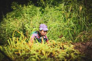 BIB: 
                            <button type="button" onclick="openModal(13406092)" class="btn btn-primary btn-sm float-right btn-popup" data-toggle="modal" data-target=".modal-high-quality">
                        <i class="fas fa-shopping-cart"></i> Add to Cart
                    </button>
                                            <button type="button" onclick="isThisMe(13406092, true)" class="btn btn-success btn-sm float-right btn-popup btn-isme hidden" data-toggle="tooltip" data-placement="bottom" title="นี่คือรูปของคุณใช่ไหม คลิกที่นี่เพื่อเอาเข้าอัลบั้ม">
                        <i class="fas fa-plus"></i> Add to album
                    </button>
                    <button type="button" onclick="isThisMe(13406092, false)" class="btn btn-warning btn-sm float-right btn-popup btn-isnotme hidden">
                        <i class="fas fa-ban"></i> Remove from album
                    </button>