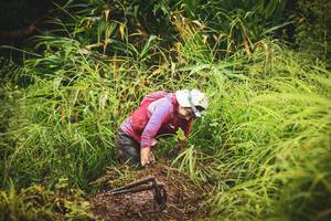 BIB: 
                            <button type="button" onclick="openModal(13406126)" class="btn btn-primary btn-sm float-right btn-popup" data-toggle="modal" data-target=".modal-high-quality">
                        <i class="fas fa-shopping-cart"></i> Add to Cart
                    </button>
                                            <button type="button" onclick="isThisMe(13406126, true)" class="btn btn-success btn-sm float-right btn-popup btn-isme hidden" data-toggle="tooltip" data-placement="bottom" title="นี่คือรูปของคุณใช่ไหม คลิกที่นี่เพื่อเอาเข้าอัลบั้ม">
                        <i class="fas fa-plus"></i> Add to album
                    </button>
                    <button type="button" onclick="isThisMe(13406126, false)" class="btn btn-warning btn-sm float-right btn-popup btn-isnotme hidden">
                        <i class="fas fa-ban"></i> Remove from album
                    </button>