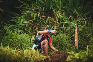 BIB: 
                            <button type="button" onclick="openModal(13406580)" class="btn btn-primary btn-sm float-right btn-popup" data-toggle="modal" data-target=".modal-high-quality">
                        <i class="fas fa-shopping-cart"></i> Add to Cart
                    </button>
                                            <button type="button" onclick="isThisMe(13406580, true)" class="btn btn-success btn-sm float-right btn-popup btn-isme hidden" data-toggle="tooltip" data-placement="bottom" title="นี่คือรูปของคุณใช่ไหม คลิกที่นี่เพื่อเอาเข้าอัลบั้ม">
                        <i class="fas fa-plus"></i> Add to album
                    </button>
                    <button type="button" onclick="isThisMe(13406580, false)" class="btn btn-warning btn-sm float-right btn-popup btn-isnotme hidden">
                        <i class="fas fa-ban"></i> Remove from album
                    </button>