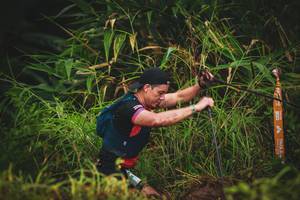 BIB: 
                            <button type="button" onclick="openModal(13406718)" class="btn btn-primary btn-sm float-right btn-popup" data-toggle="modal" data-target=".modal-high-quality">
                        <i class="fas fa-shopping-cart"></i> Add to Cart
                    </button>
                                            <button type="button" onclick="isThisMe(13406718, true)" class="btn btn-success btn-sm float-right btn-popup btn-isme hidden" data-toggle="tooltip" data-placement="bottom" title="นี่คือรูปของคุณใช่ไหม คลิกที่นี่เพื่อเอาเข้าอัลบั้ม">
                        <i class="fas fa-plus"></i> Add to album
                    </button>
                    <button type="button" onclick="isThisMe(13406718, false)" class="btn btn-warning btn-sm float-right btn-popup btn-isnotme hidden">
                        <i class="fas fa-ban"></i> Remove from album
                    </button>