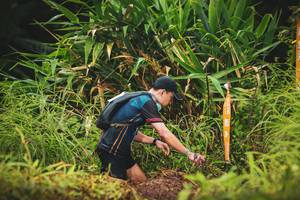 BIB: 
                            <button type="button" onclick="openModal(13420626)" class="btn btn-primary btn-sm float-right btn-popup" data-toggle="modal" data-target=".modal-high-quality">
                        <i class="fas fa-shopping-cart"></i> Add to Cart
                    </button>
                                            <button type="button" onclick="isThisMe(13420626, true)" class="btn btn-success btn-sm float-right btn-popup btn-isme hidden" data-toggle="tooltip" data-placement="bottom" title="นี่คือรูปของคุณใช่ไหม คลิกที่นี่เพื่อเอาเข้าอัลบั้ม">
                        <i class="fas fa-plus"></i> Add to album
                    </button>
                    <button type="button" onclick="isThisMe(13420626, false)" class="btn btn-warning btn-sm float-right btn-popup btn-isnotme hidden">
                        <i class="fas fa-ban"></i> Remove from album
                    </button>