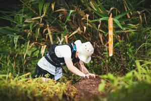 BIB: 
                            <button type="button" onclick="openModal(13421312)" class="btn btn-primary btn-sm float-right btn-popup" data-toggle="modal" data-target=".modal-high-quality">
                        <i class="fas fa-shopping-cart"></i> Add to Cart
                    </button>
                                            <button type="button" onclick="isThisMe(13421312, true)" class="btn btn-success btn-sm float-right btn-popup btn-isme hidden" data-toggle="tooltip" data-placement="bottom" title="นี่คือรูปของคุณใช่ไหม คลิกที่นี่เพื่อเอาเข้าอัลบั้ม">
                        <i class="fas fa-plus"></i> Add to album
                    </button>
                    <button type="button" onclick="isThisMe(13421312, false)" class="btn btn-warning btn-sm float-right btn-popup btn-isnotme hidden">
                        <i class="fas fa-ban"></i> Remove from album
                    </button>