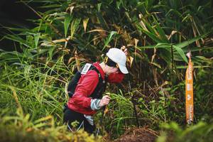 BIB: 8175
                            <button type="button" onclick="openModal(13421134)" class="btn btn-primary btn-sm float-right btn-popup" data-toggle="modal" data-target=".modal-high-quality">
                        <i class="fas fa-shopping-cart"></i> Add to Cart
                    </button>
                                            <button type="button" onclick="isThisMe(13421134, true)" class="btn btn-success btn-sm float-right btn-popup btn-isme hidden" data-toggle="tooltip" data-placement="bottom" title="นี่คือรูปของคุณใช่ไหม คลิกที่นี่เพื่อเอาเข้าอัลบั้ม">
                        <i class="fas fa-plus"></i> Add to album
                    </button>
                    <button type="button" onclick="isThisMe(13421134, false)" class="btn btn-warning btn-sm float-right btn-popup btn-isnotme hidden">
                        <i class="fas fa-ban"></i> Remove from album
                    </button>