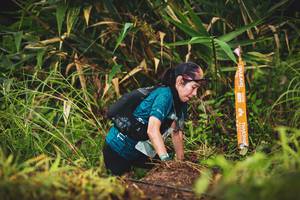 BIB: 
                            <button type="button" onclick="openModal(13420993)" class="btn btn-primary btn-sm float-right btn-popup" data-toggle="modal" data-target=".modal-high-quality">
                        <i class="fas fa-shopping-cart"></i> Add to Cart
                    </button>
                                            <button type="button" onclick="isThisMe(13420993, true)" class="btn btn-success btn-sm float-right btn-popup btn-isme hidden" data-toggle="tooltip" data-placement="bottom" title="นี่คือรูปของคุณใช่ไหม คลิกที่นี่เพื่อเอาเข้าอัลบั้ม">
                        <i class="fas fa-plus"></i> Add to album
                    </button>
                    <button type="button" onclick="isThisMe(13420993, false)" class="btn btn-warning btn-sm float-right btn-popup btn-isnotme hidden">
                        <i class="fas fa-ban"></i> Remove from album
                    </button>