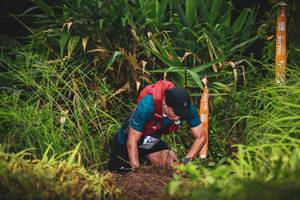 BIB: 
                            <button type="button" onclick="openModal(13419900)" class="btn btn-primary btn-sm float-right btn-popup" data-toggle="modal" data-target=".modal-high-quality">
                        <i class="fas fa-shopping-cart"></i> Add to Cart
                    </button>
                                            <button type="button" onclick="isThisMe(13419900, true)" class="btn btn-success btn-sm float-right btn-popup btn-isme hidden" data-toggle="tooltip" data-placement="bottom" title="นี่คือรูปของคุณใช่ไหม คลิกที่นี่เพื่อเอาเข้าอัลบั้ม">
                        <i class="fas fa-plus"></i> Add to album
                    </button>
                    <button type="button" onclick="isThisMe(13419900, false)" class="btn btn-warning btn-sm float-right btn-popup btn-isnotme hidden">
                        <i class="fas fa-ban"></i> Remove from album
                    </button>