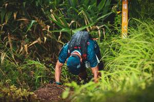 BIB: 
                            <button type="button" onclick="openModal(13421088)" class="btn btn-primary btn-sm float-right btn-popup" data-toggle="modal" data-target=".modal-high-quality">
                        <i class="fas fa-shopping-cart"></i> Add to Cart
                    </button>
                                            <button type="button" onclick="isThisMe(13421088, true)" class="btn btn-success btn-sm float-right btn-popup btn-isme hidden" data-toggle="tooltip" data-placement="bottom" title="นี่คือรูปของคุณใช่ไหม คลิกที่นี่เพื่อเอาเข้าอัลบั้ม">
                        <i class="fas fa-plus"></i> Add to album
                    </button>
                    <button type="button" onclick="isThisMe(13421088, false)" class="btn btn-warning btn-sm float-right btn-popup btn-isnotme hidden">
                        <i class="fas fa-ban"></i> Remove from album
                    </button>