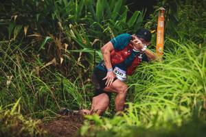 BIB: 8381
                            <button type="button" onclick="openModal(13419907)" class="btn btn-primary btn-sm float-right btn-popup" data-toggle="modal" data-target=".modal-high-quality">
                        <i class="fas fa-shopping-cart"></i> Add to Cart
                    </button>
                                            <button type="button" onclick="isThisMe(13419907, true)" class="btn btn-success btn-sm float-right btn-popup btn-isme hidden" data-toggle="tooltip" data-placement="bottom" title="นี่คือรูปของคุณใช่ไหม คลิกที่นี่เพื่อเอาเข้าอัลบั้ม">
                        <i class="fas fa-plus"></i> Add to album
                    </button>
                    <button type="button" onclick="isThisMe(13419907, false)" class="btn btn-warning btn-sm float-right btn-popup btn-isnotme hidden">
                        <i class="fas fa-ban"></i> Remove from album
                    </button>