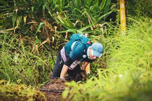 BIB: 
                            <button type="button" onclick="openModal(13420290)" class="btn btn-primary btn-sm float-right btn-popup" data-toggle="modal" data-target=".modal-high-quality">
                        <i class="fas fa-shopping-cart"></i> Add to Cart
                    </button>
                                            <button type="button" onclick="isThisMe(13420290, true)" class="btn btn-success btn-sm float-right btn-popup btn-isme hidden" data-toggle="tooltip" data-placement="bottom" title="นี่คือรูปของคุณใช่ไหม คลิกที่นี่เพื่อเอาเข้าอัลบั้ม">
                        <i class="fas fa-plus"></i> Add to album
                    </button>
                    <button type="button" onclick="isThisMe(13420290, false)" class="btn btn-warning btn-sm float-right btn-popup btn-isnotme hidden">
                        <i class="fas fa-ban"></i> Remove from album
                    </button>