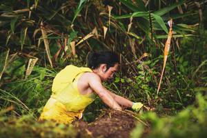 BIB: 
                            <button type="button" onclick="openModal(13421181)" class="btn btn-primary btn-sm float-right btn-popup" data-toggle="modal" data-target=".modal-high-quality">
                        <i class="fas fa-shopping-cart"></i> Add to Cart
                    </button>
                                            <button type="button" onclick="isThisMe(13421181, true)" class="btn btn-success btn-sm float-right btn-popup btn-isme hidden" data-toggle="tooltip" data-placement="bottom" title="นี่คือรูปของคุณใช่ไหม คลิกที่นี่เพื่อเอาเข้าอัลบั้ม">
                        <i class="fas fa-plus"></i> Add to album
                    </button>
                    <button type="button" onclick="isThisMe(13421181, false)" class="btn btn-warning btn-sm float-right btn-popup btn-isnotme hidden">
                        <i class="fas fa-ban"></i> Remove from album
                    </button>