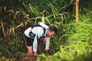 BIB: 
                            <button type="button" onclick="openModal(13421304)" class="btn btn-primary btn-sm float-right btn-popup" data-toggle="modal" data-target=".modal-high-quality">
                        <i class="fas fa-shopping-cart"></i> Add to Cart
                    </button>
                                            <button type="button" onclick="isThisMe(13421304, true)" class="btn btn-success btn-sm float-right btn-popup btn-isme hidden" data-toggle="tooltip" data-placement="bottom" title="นี่คือรูปของคุณใช่ไหม คลิกที่นี่เพื่อเอาเข้าอัลบั้ม">
                        <i class="fas fa-plus"></i> Add to album
                    </button>
                    <button type="button" onclick="isThisMe(13421304, false)" class="btn btn-warning btn-sm float-right btn-popup btn-isnotme hidden">
                        <i class="fas fa-ban"></i> Remove from album
                    </button>