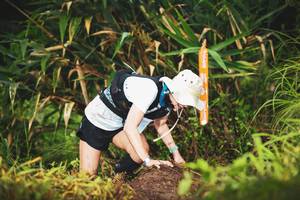 BIB: 
                            <button type="button" onclick="openModal(13421308)" class="btn btn-primary btn-sm float-right btn-popup" data-toggle="modal" data-target=".modal-high-quality">
                        <i class="fas fa-shopping-cart"></i> Add to Cart
                    </button>
                                            <button type="button" onclick="isThisMe(13421308, true)" class="btn btn-success btn-sm float-right btn-popup btn-isme hidden" data-toggle="tooltip" data-placement="bottom" title="นี่คือรูปของคุณใช่ไหม คลิกที่นี่เพื่อเอาเข้าอัลบั้ม">
                        <i class="fas fa-plus"></i> Add to album
                    </button>
                    <button type="button" onclick="isThisMe(13421308, false)" class="btn btn-warning btn-sm float-right btn-popup btn-isnotme hidden">
                        <i class="fas fa-ban"></i> Remove from album
                    </button>