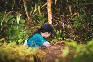 BIB: 
                            <button type="button" onclick="openModal(13421350)" class="btn btn-primary btn-sm float-right btn-popup" data-toggle="modal" data-target=".modal-high-quality">
                        <i class="fas fa-shopping-cart"></i> Add to Cart
                    </button>
                                            <button type="button" onclick="isThisMe(13421350, true)" class="btn btn-success btn-sm float-right btn-popup btn-isme hidden" data-toggle="tooltip" data-placement="bottom" title="นี่คือรูปของคุณใช่ไหม คลิกที่นี่เพื่อเอาเข้าอัลบั้ม">
                        <i class="fas fa-plus"></i> Add to album
                    </button>
                    <button type="button" onclick="isThisMe(13421350, false)" class="btn btn-warning btn-sm float-right btn-popup btn-isnotme hidden">
                        <i class="fas fa-ban"></i> Remove from album
                    </button>