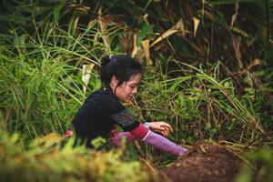 BIB: 
                            <button type="button" onclick="openModal(13420937)" class="btn btn-primary btn-sm float-right btn-popup" data-toggle="modal" data-target=".modal-high-quality">
                        <i class="fas fa-shopping-cart"></i> Add to Cart
                    </button>
                                            <button type="button" onclick="isThisMe(13420937, true)" class="btn btn-success btn-sm float-right btn-popup btn-isme hidden" data-toggle="tooltip" data-placement="bottom" title="นี่คือรูปของคุณใช่ไหม คลิกที่นี่เพื่อเอาเข้าอัลบั้ม">
                        <i class="fas fa-plus"></i> Add to album
                    </button>
                    <button type="button" onclick="isThisMe(13420937, false)" class="btn btn-warning btn-sm float-right btn-popup btn-isnotme hidden">
                        <i class="fas fa-ban"></i> Remove from album
                    </button>