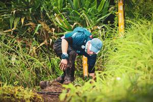 BIB: 
                            <button type="button" onclick="openModal(13420295)" class="btn btn-primary btn-sm float-right btn-popup" data-toggle="modal" data-target=".modal-high-quality">
                        <i class="fas fa-shopping-cart"></i> Add to Cart
                    </button>
                                            <button type="button" onclick="isThisMe(13420295, true)" class="btn btn-success btn-sm float-right btn-popup btn-isme hidden" data-toggle="tooltip" data-placement="bottom" title="นี่คือรูปของคุณใช่ไหม คลิกที่นี่เพื่อเอาเข้าอัลบั้ม">
                        <i class="fas fa-plus"></i> Add to album
                    </button>
                    <button type="button" onclick="isThisMe(13420295, false)" class="btn btn-warning btn-sm float-right btn-popup btn-isnotme hidden">
                        <i class="fas fa-ban"></i> Remove from album
                    </button>