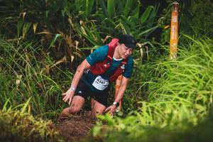 BIB: 8381
                            <button type="button" onclick="openModal(13419905)" class="btn btn-primary btn-sm float-right btn-popup" data-toggle="modal" data-target=".modal-high-quality">
                        <i class="fas fa-shopping-cart"></i> Add to Cart
                    </button>
                                            <button type="button" onclick="isThisMe(13419905, true)" class="btn btn-success btn-sm float-right btn-popup btn-isme hidden" data-toggle="tooltip" data-placement="bottom" title="นี่คือรูปของคุณใช่ไหม คลิกที่นี่เพื่อเอาเข้าอัลบั้ม">
                        <i class="fas fa-plus"></i> Add to album
                    </button>
                    <button type="button" onclick="isThisMe(13419905, false)" class="btn btn-warning btn-sm float-right btn-popup btn-isnotme hidden">
                        <i class="fas fa-ban"></i> Remove from album
                    </button>