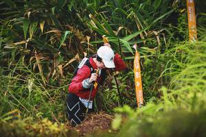 BIB: 
                            <button type="button" onclick="openModal(13421140)" class="btn btn-primary btn-sm float-right btn-popup" data-toggle="modal" data-target=".modal-high-quality">
                        <i class="fas fa-shopping-cart"></i> Add to Cart
                    </button>
                                            <button type="button" onclick="isThisMe(13421140, true)" class="btn btn-success btn-sm float-right btn-popup btn-isme hidden" data-toggle="tooltip" data-placement="bottom" title="นี่คือรูปของคุณใช่ไหม คลิกที่นี่เพื่อเอาเข้าอัลบั้ม">
                        <i class="fas fa-plus"></i> Add to album
                    </button>
                    <button type="button" onclick="isThisMe(13421140, false)" class="btn btn-warning btn-sm float-right btn-popup btn-isnotme hidden">
                        <i class="fas fa-ban"></i> Remove from album
                    </button>