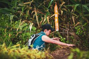 BIB: 1007
                            <button type="button" onclick="openModal(13422026)" class="btn btn-primary btn-sm float-right btn-popup" data-toggle="modal" data-target=".modal-high-quality">
                        <i class="fas fa-shopping-cart"></i> Add to Cart
                    </button>
                                            <button type="button" onclick="isThisMe(13422026, true)" class="btn btn-success btn-sm float-right btn-popup btn-isme hidden" data-toggle="tooltip" data-placement="bottom" title="นี่คือรูปของคุณใช่ไหม คลิกที่นี่เพื่อเอาเข้าอัลบั้ม">
                        <i class="fas fa-plus"></i> Add to album
                    </button>
                    <button type="button" onclick="isThisMe(13422026, false)" class="btn btn-warning btn-sm float-right btn-popup btn-isnotme hidden">
                        <i class="fas fa-ban"></i> Remove from album
                    </button>