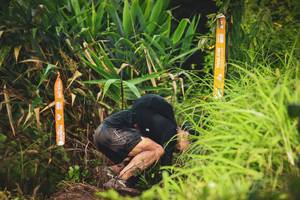 BIB: 
                            <button type="button" onclick="openModal(13422053)" class="btn btn-primary btn-sm float-right btn-popup" data-toggle="modal" data-target=".modal-high-quality">
                        <i class="fas fa-shopping-cart"></i> Add to Cart
                    </button>
                                            <button type="button" onclick="isThisMe(13422053, true)" class="btn btn-success btn-sm float-right btn-popup btn-isme hidden" data-toggle="tooltip" data-placement="bottom" title="นี่คือรูปของคุณใช่ไหม คลิกที่นี่เพื่อเอาเข้าอัลบั้ม">
                        <i class="fas fa-plus"></i> Add to album
                    </button>
                    <button type="button" onclick="isThisMe(13422053, false)" class="btn btn-warning btn-sm float-right btn-popup btn-isnotme hidden">
                        <i class="fas fa-ban"></i> Remove from album
                    </button>